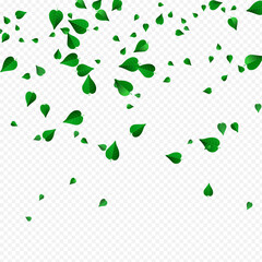 Forest Leaves Flying Vector Transparent