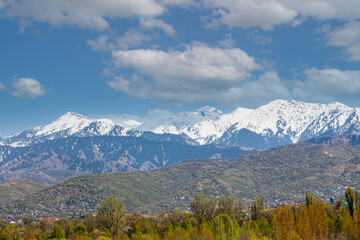 Fototapeta premium Summer Tien Shan mountains in the vicinity of Almaty, snow peaks