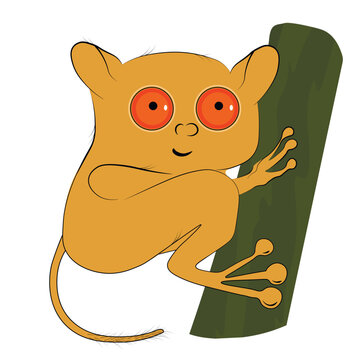 Dolgopyat Filipino vector stock illustration. Cute primate with big eyes. Funny jungle animal. Isolated on a white background.