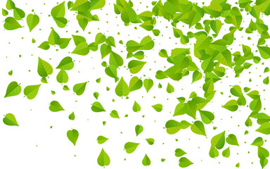 Green Foliage Realistic Vector White Background