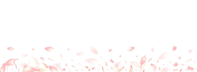 Obraz na płótnie Canvas Pastel Peach Petal Vector Panoramic Background.