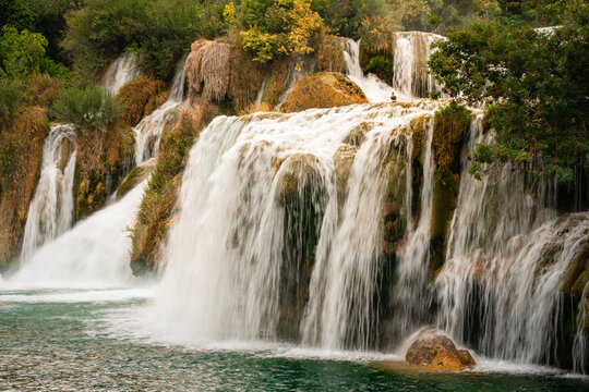 Roški Slap With Duck Bathing on Waterfall, Croatia © Adam