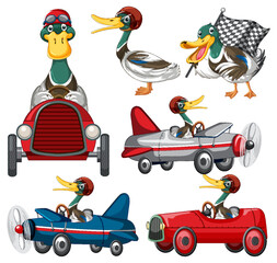 Obraz na płótnie Canvas Soapbox derby race concept with ducks