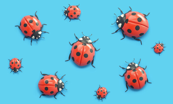 Cartoon ladybugs on blue background. Top view