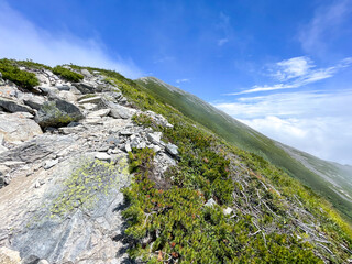 鹿島槍ヶ岳　登山道