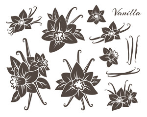 Vanilla icons collection. Flowers with dried pods.