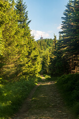 Fototapeta na wymiar Lysa hora hill in Moravskoslezske Beskydy mountains in Czech republic