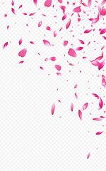 Beautiful Petal Japan Vector Transparent