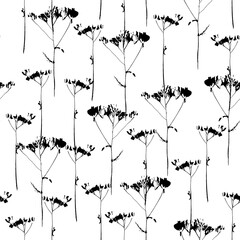 Black and white floral seamless pattern © chekiwart