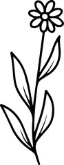 Hand Drawn Flower Sketch Line Art
