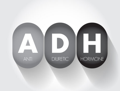 ADH Antidiuretic Hormone - nonapeptide synthesized in the hypothalamus, acronym text concept background