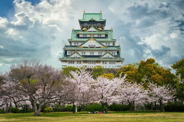 Naklejka premium Cherry blossoms blooming in Osaka Castle, Chuo, Osaka.