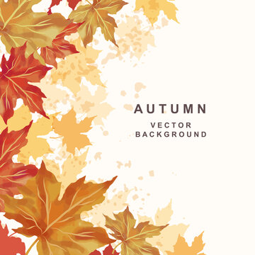 Autumn background with space for text. Thanksgiving and Harvest Day. Leaf fall frame. Watercolor maple leaves. Vector illustration
