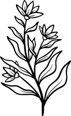 Floral Design Element
