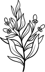 Floral Design Element
