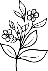 Flowers Sketch Line Art Illustration
