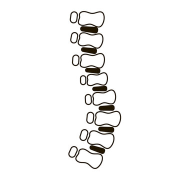 recommend clip art: Spine diagnostic icon for medical speciality in outline style isolated on white background, medical health care