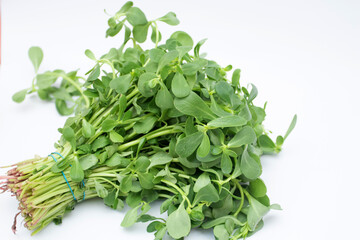 a bunch of purslane grass isolated on a white background