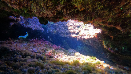 Underwater crystal clear coral reef cave with beautiful colours from sun rays and deep blue sea