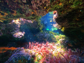 Underwater crystal clear coral reef cave with beautiful colours from sun rays and deep blue sea