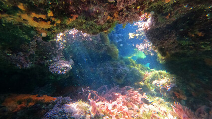 Fototapeta na wymiar Underwater crystal clear coral reef cave with beautiful colours from sun rays and deep blue sea