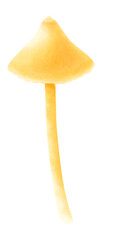 Yellow mushroom watercolor illustration