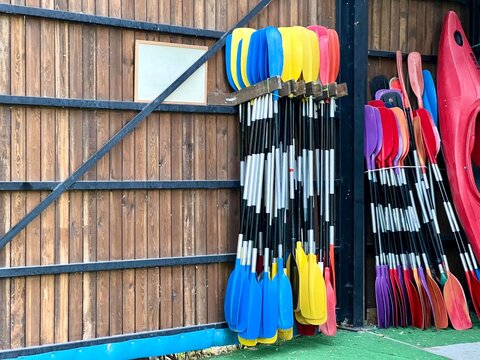 set of colorful oar and paddles of kayak and canoe sport