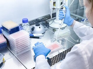 A laboratory technician performing biological activity evaluation of a new anticancer drug using...
