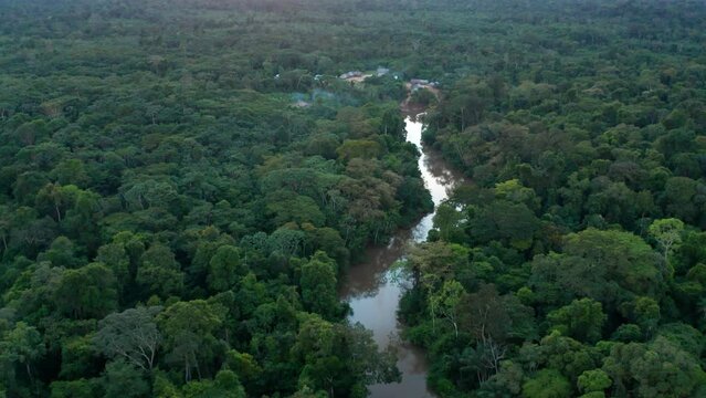 4k Aerial shot for amazon river and the rain forest in brazil rainforest.
shot on MAVIC 2 PRO hasselblad rendered prores 422HQ REC709