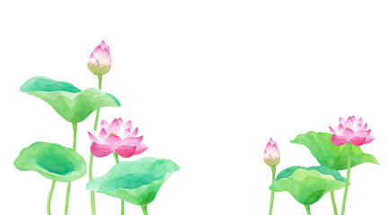 蓮の花のアシンメトリー構成。　水彩イラスト（透過背景）