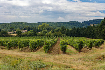 Vue dégagée sur la vallée de Carcassonne depuis la campagne du petit village d'Arzens pays des vignes