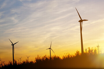 Beautiful sunset above the windmills on the field. renewable energy sources concept