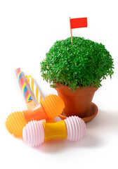 Manjerico plant and 2 toy hammers isolate on white. Traditional Summer festival in June San Juan,...