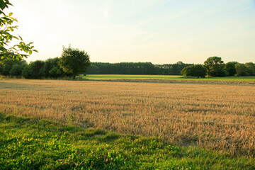 sloping field