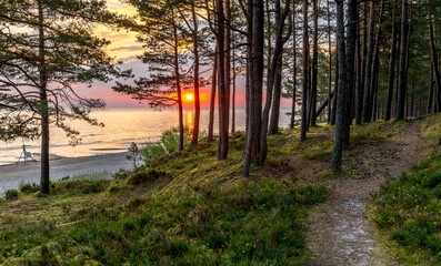 Coastal landscape with sandy beach and forest dune area of the Baltic Sea at dawn. Concept of...