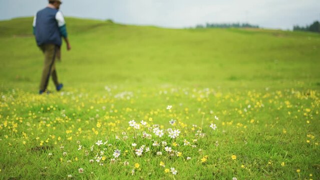 Landscape scenic of hills forests in beautiful kashmir. Dal lake, pahalgam, Gulmarg, Baramulla, kupwara add beauty to Kashmir.