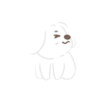 cute white dog