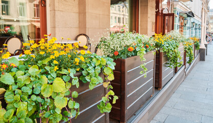 Fototapeta na wymiar Summer outdoor terrace with yellow flowers in pots, for coffee and restaurant with tables and chairs.