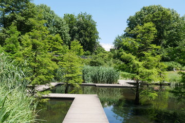 Fototapeta na wymiar Teich im Grugapark in Essen