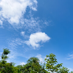 Obraz premium Fluffy white clouds, croissant-shaped clouds Floating in the sky on a clear day. Cute cloud images.