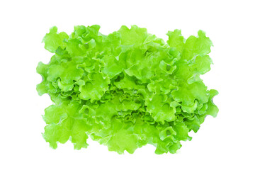Obraz na płótnie Canvas Green lettuce leaves, salad isolated on transparent background - PNG format.