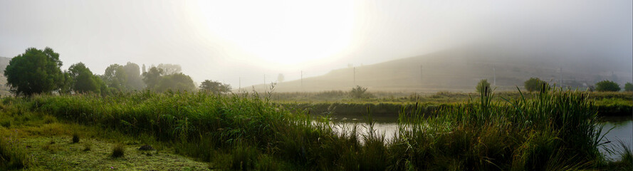 Camping in the nature waking up into a misty sunrise