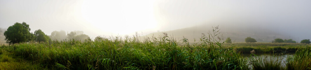 Camping in the nature waking up into a misty sunrise