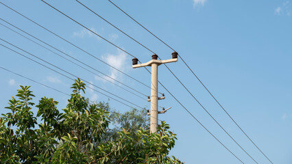 lamppost and cable background, front view