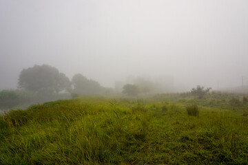 Camping in the nature waking up into a misty sunrise