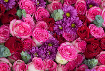 Textrue and pattern with pink rose flowers and eucalyptus leaves.
