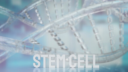 The  stem cell text on dna background for sci or medical concept 3d rendering