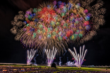 Firework of Nagaoka2022 
2002年長岡の花火