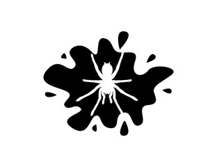 Spider in splash illustration