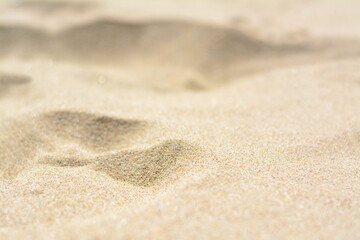 Fototapeta na wymiar Closeup view of clean beach sand outdoors